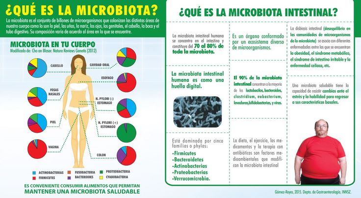mireia cabrera, experta en nutrición digestiva, te ayuda a mejorar tu salud intestinal y mantener una microbiota saludable para un bienestar óptimo.