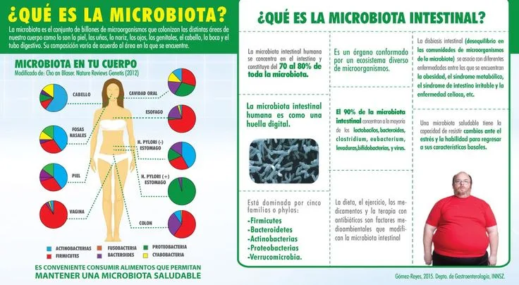 mireia cabrera, experta en nutrición digestiva, te ayuda a mejorar tu salud intestinal y mantener una microbiota saludable para un bienestar óptimo.