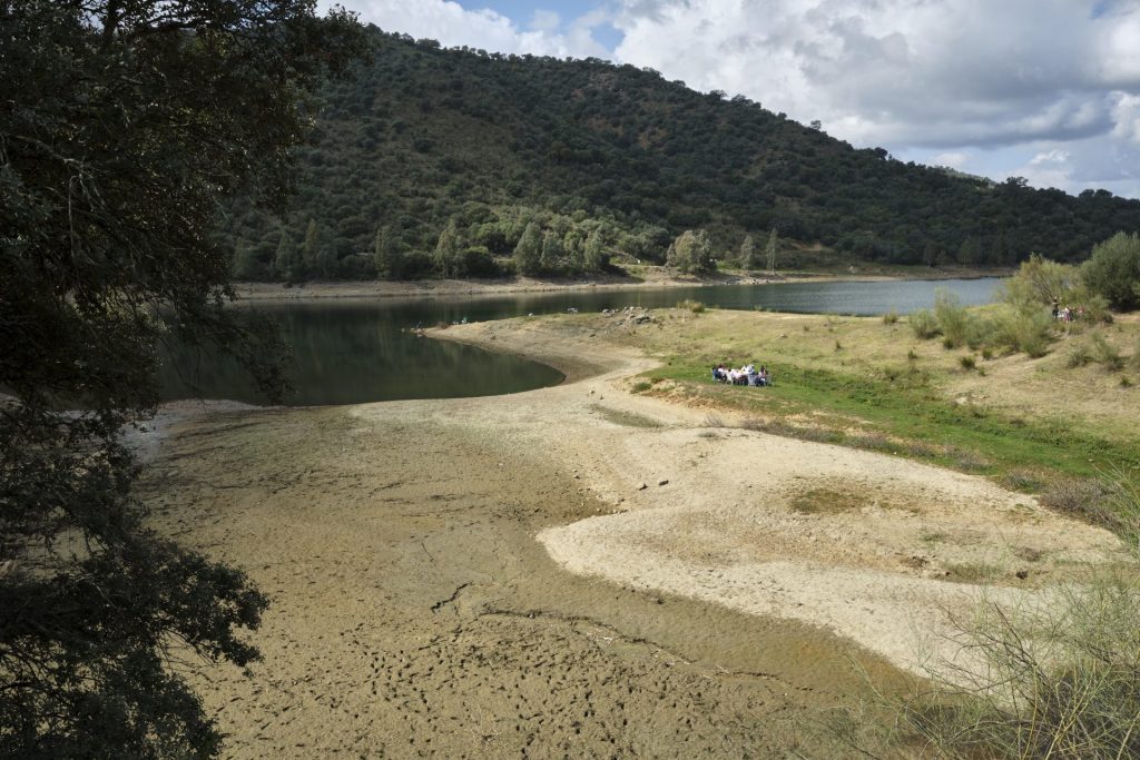 consulta las reservas hídricas en los embalses españoles actualizadas hasta el 14 de diciembre. información precisa sobre niveles de agua y gestión hídrica.