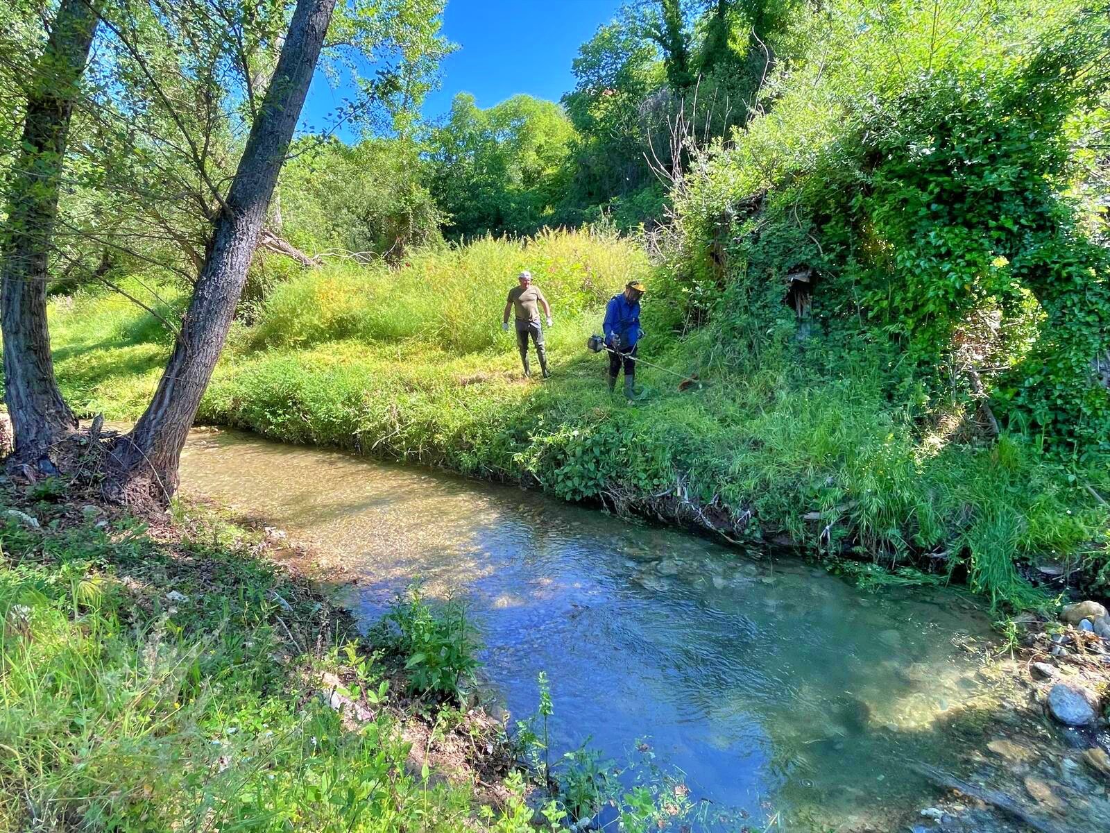 descubre las principales amenazas que enfrenta el río velillos en andalucía y cómo afectan a su ecosistema y comunidad local.