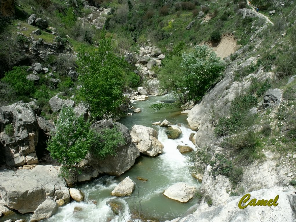 descubre las principales amenazas que enfrenta el río velillos en andalucía y cómo estas afectan su ecosistema y biodiversidad.