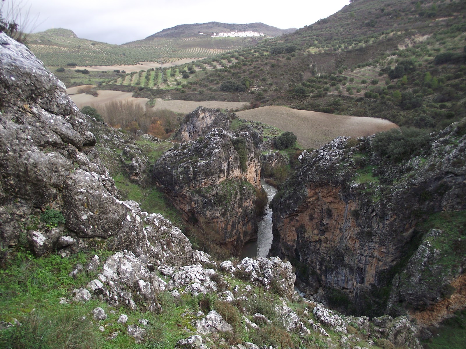 descubre las principales amenazas que enfrenta el río velillos en andalucía y conoce las medidas para proteger este valioso ecosistema natural.