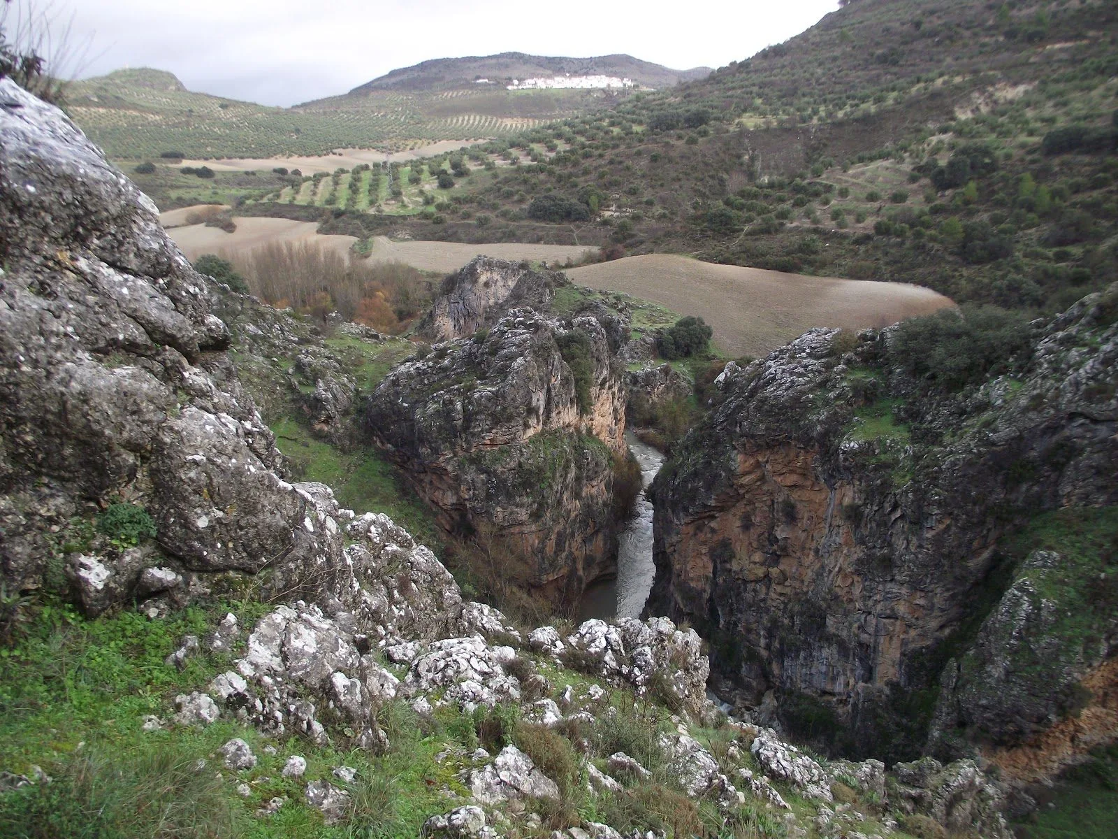 descubre las principales amenazas que enfrenta el río velillos en andalucía y conoce las medidas para proteger este valioso ecosistema natural.